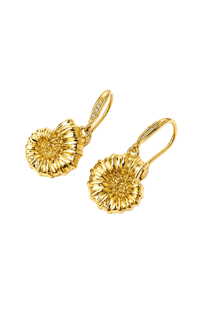 Shell Drop Earrings