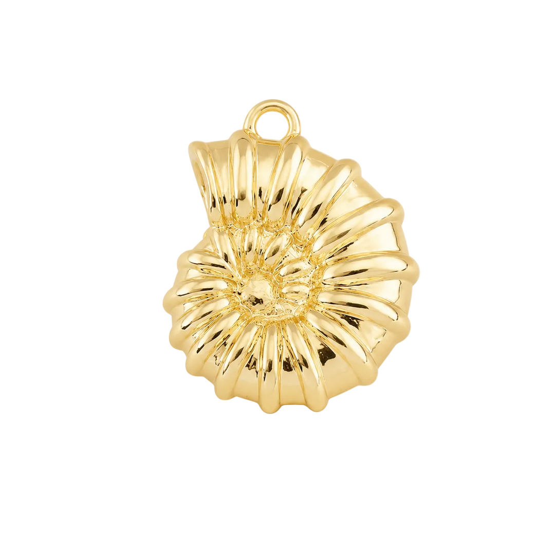Sunburst Shell Charm