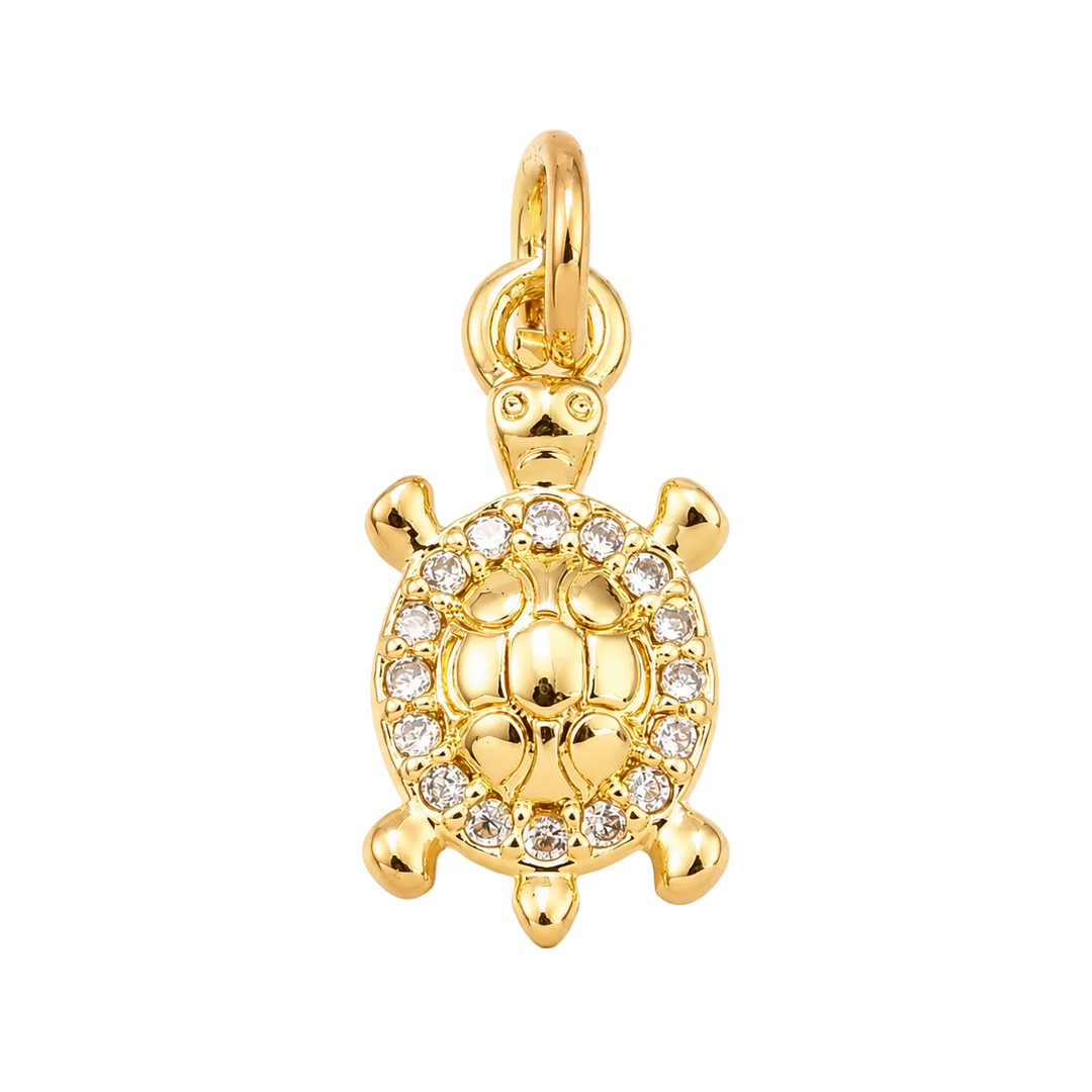 Tortue Charm